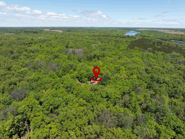 W2761 49th St, Mauston, WI 53948 - bird's eye view of a heavily wooded area and a large body of water