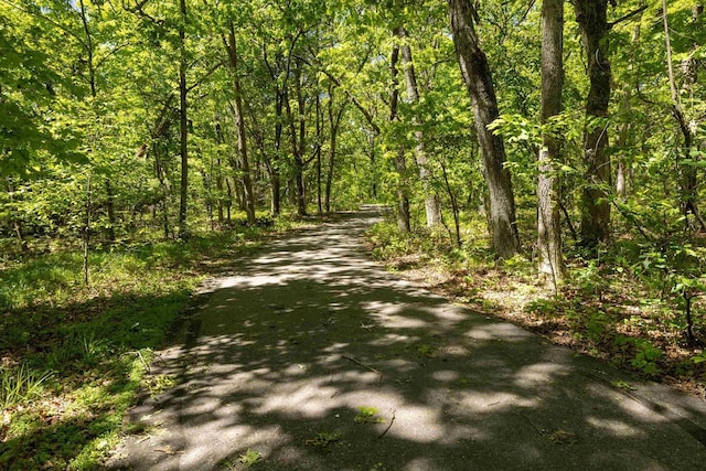 W2761 49th St, Mauston, WI 53948 - view of street featuring a view of trees