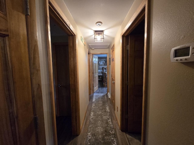 5321 Breezy Pine Dr, Wisconsin Rapids, WI 54494 - view of corridor
