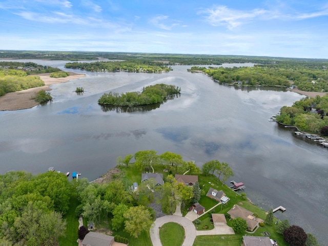 5743 Island View Ct, Waterford, WI 53185 - bird's eye view of a large body of water