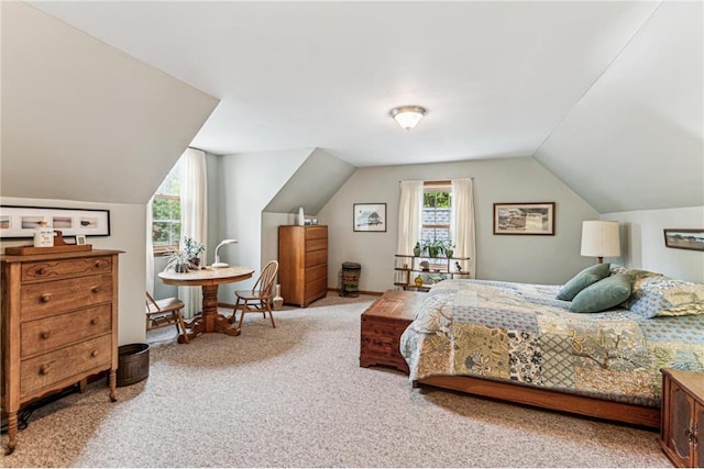 2322 243rd Ave, Cushing, WI 54006 - bedroom with carpet flooring and vaulted ceiling