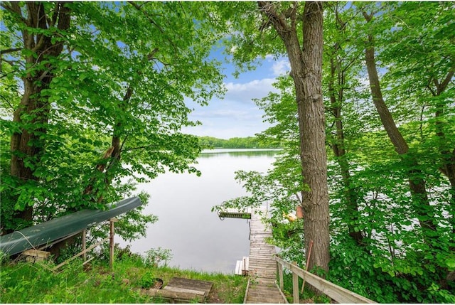 2322 243rd Ave, Cushing, WI 54006 - water view featuring a boat dock