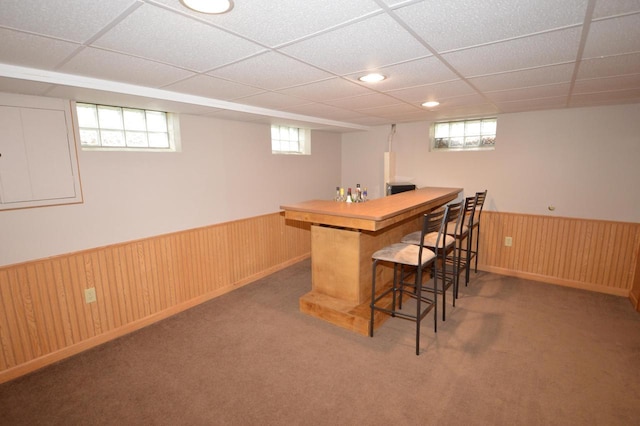 1781 Spruce Ct, South Milwaukee, WI 53172 - indoor dry bar featuring a wainscoted wall, a drop ceiling, wood walls, and carpet flooring