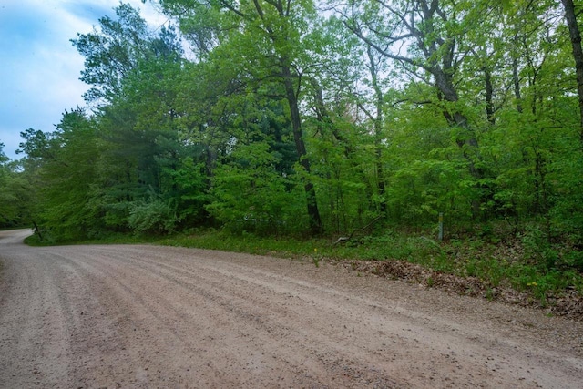W13541 Black Oak Ct, Coloma, WI 54930