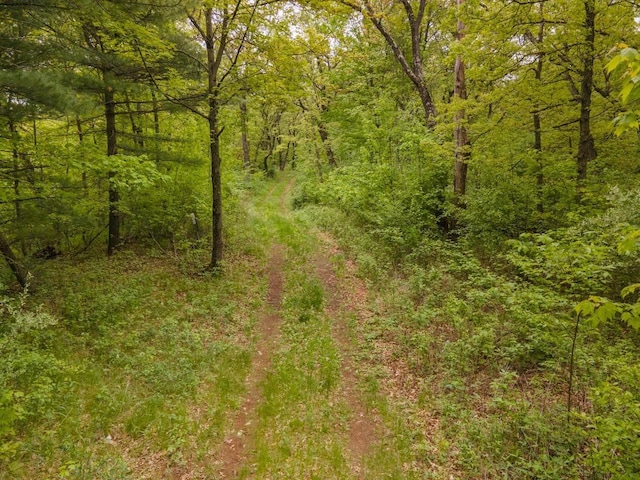 W13541 Black Oak Ct, Coloma, WI 54930