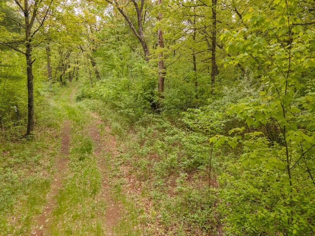 W13541 Black Oak Ct, Coloma, WI 54930