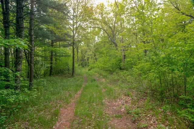 W13541 Black Oak Ct, Coloma, WI 54930