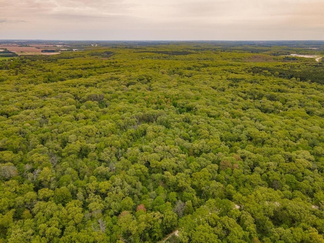 W13541 Black Oak Ct, Coloma, WI 54930