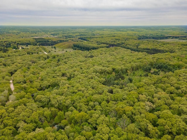 W13541 Black Oak Ct, Coloma, WI 54930