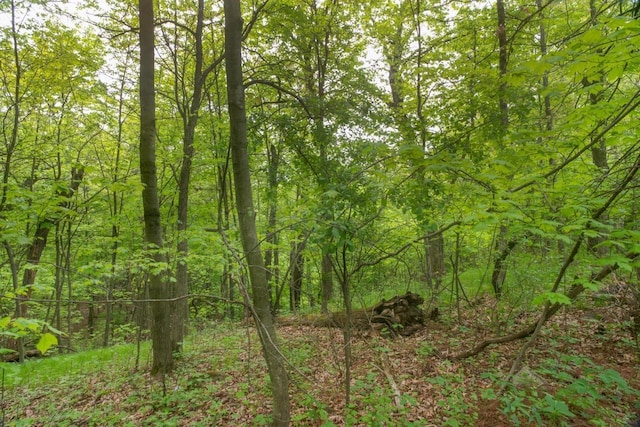 W13541 Black Oak Ct, Coloma, WI 54930