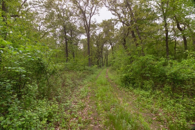 W13541 Black Oak Ct, Coloma, WI 54930