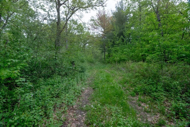 W13541 Black Oak Ct, Coloma, WI 54930