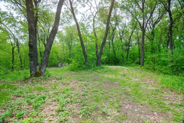 W13541 Black Oak Ct, Coloma, WI 54930