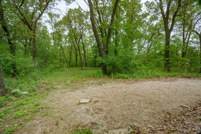 W13541 Black Oak Ct, Coloma, WI 54930