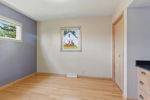 106 Elm St, Westby, WI 54667 - unfurnished room with plenty of natural light, light wood-style flooring, and baseboards
