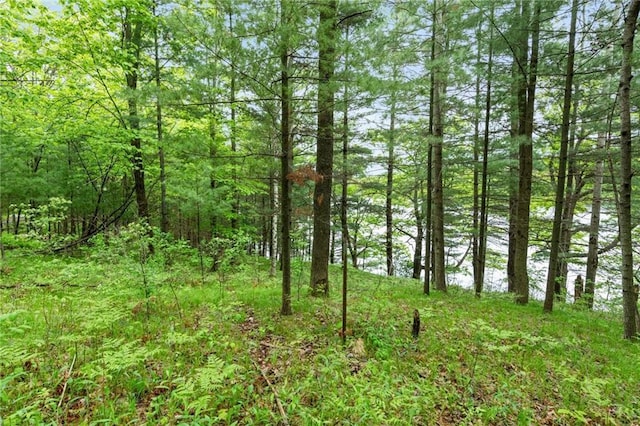 568 26th Ave, Cumberland, WI 54829 - view of wooded area