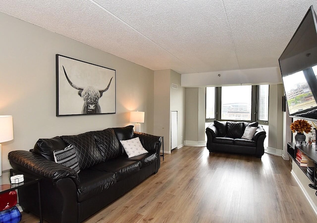 270 E Highland Ave Unit 644, Milwaukee, WI 53202 - living area featuring healthy amount of natural light, a textured ceiling, wood finished floors, and baseboards