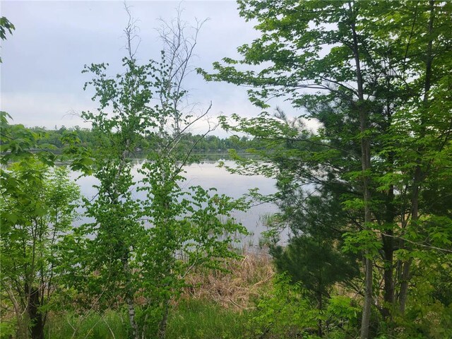 1737 E White Ash Ln, Balsam Lake, WI 54810