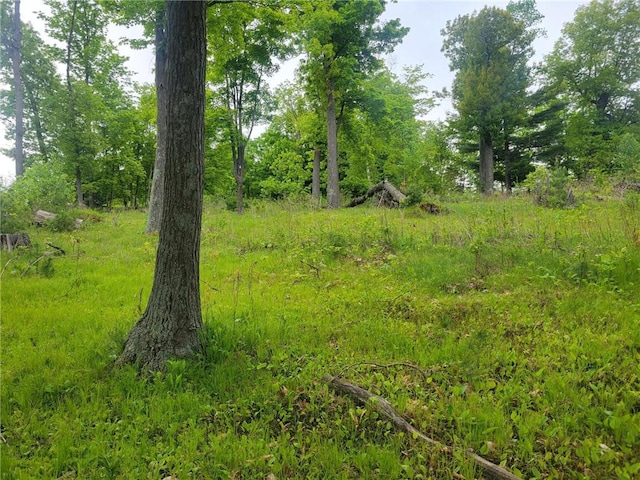 1737 E White Ash Ln, Balsam Lake, WI 54810