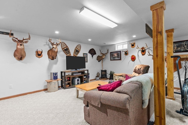 557 Center St, Berlin, WI 54923 - living room featuring a wood stove, carpet, recessed lighting, and baseboards