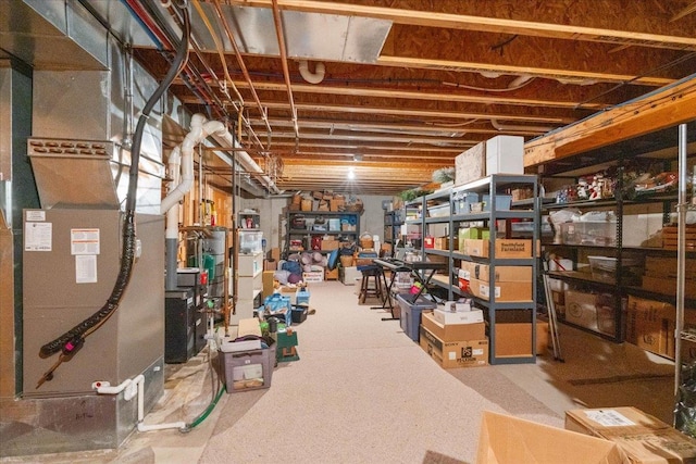 119 Summit Ct, Columbus, WI 53925 - view of unfinished basement