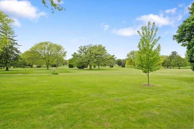 119 Summit Ct, Columbus, WI 53925 - view of property's community featuring a yard