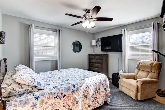 709 E Fillmore Ave, Eau Claire, WI 54701 - bedroom featuring multiple windows and a ceiling fan