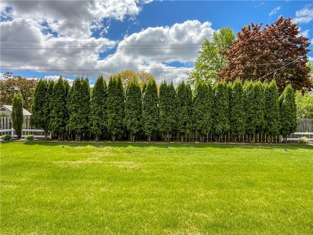 709 E Fillmore Ave, Eau Claire, WI 54701 - view of grassy yard