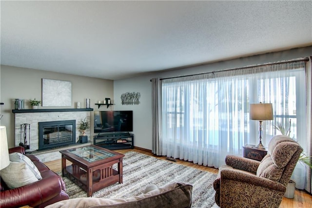 709 E Fillmore Ave, Eau Claire, WI 54701 - living area with a fireplace and wood finished floors
