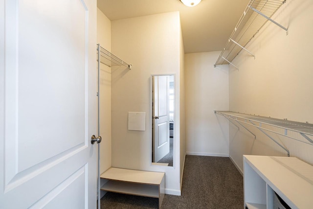 6544 Biscayne Ave, Mount Pleasant, WI 53406 - walk in closet featuring dark colored carpet