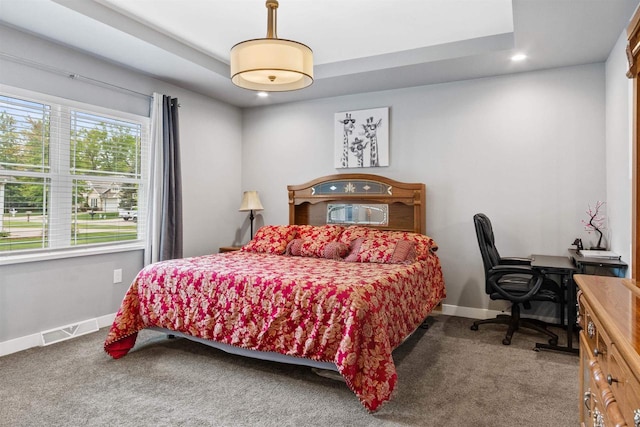 1930 Waterview Blvd, Plover, WI 54467 - bedroom with carpet flooring, baseboards, recessed lighting, and an office area