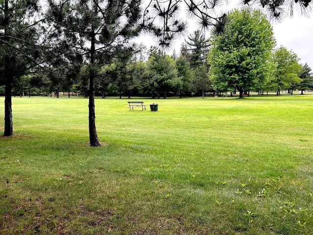 2621 Golf Course Rd, Wisconsin Rapids, WI 54494 - view of home's community featuring a lawn