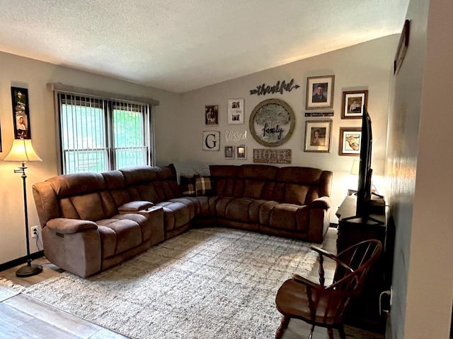 2621 Golf Course Rd, Wisconsin Rapids, WI 54494 - living room with vaulted ceiling, a textured ceiling, and wood finished floors