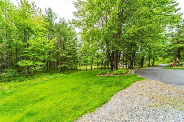 503 N 43rd Ave, Wausau, WI 54401 - view of asphalt road