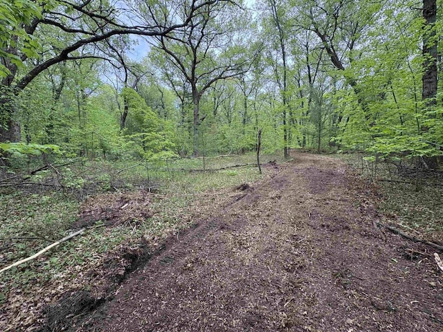 W4800 Lake Dr, Cecil, WI 54111