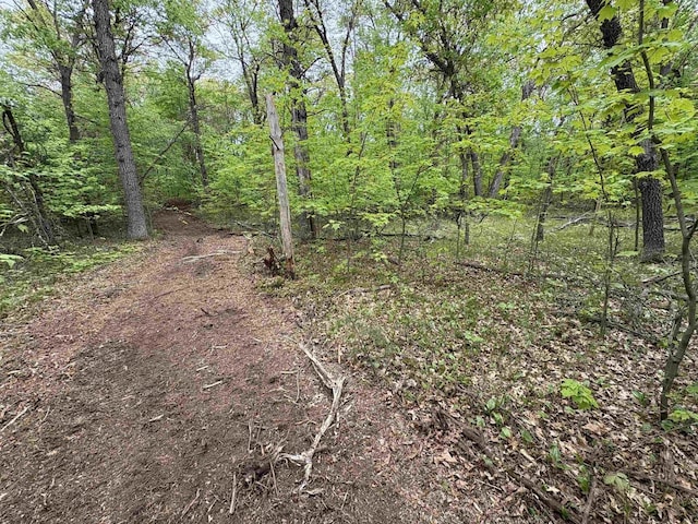 W4800 Lake Dr, Cecil, WI 54111