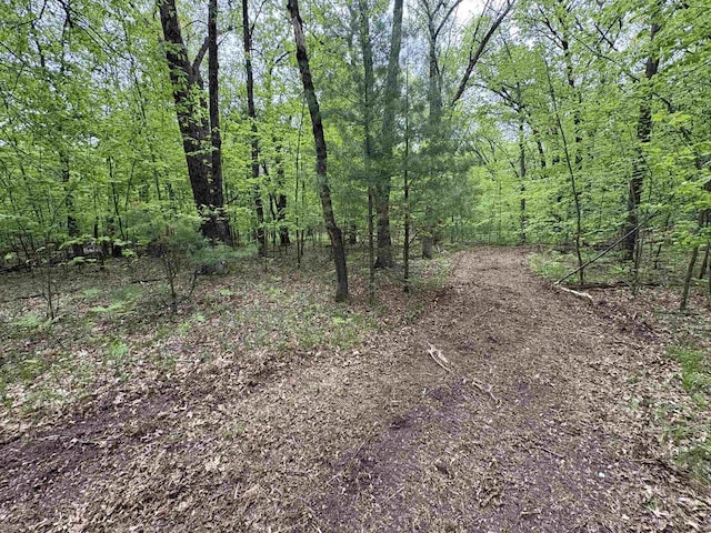 W4800 Lake Dr, Cecil, WI 54111