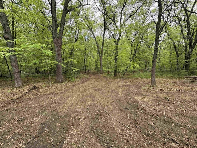 W4800 Lake Dr, Cecil, WI 54111