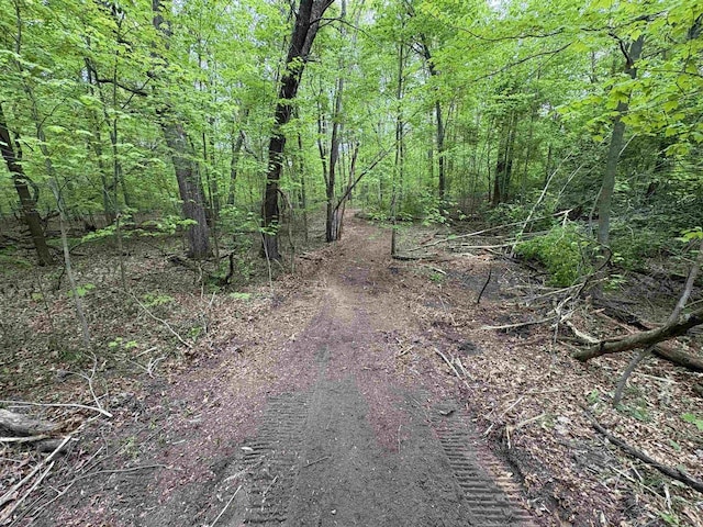 W4800 Lake Dr, Cecil, WI 54111