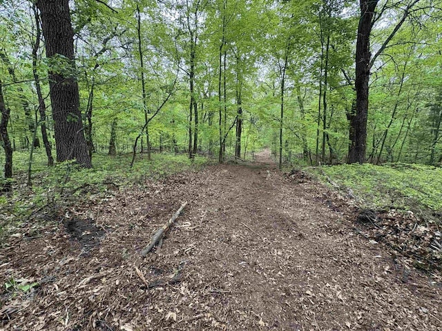 W4800 Lake Dr, Cecil, WI 54111