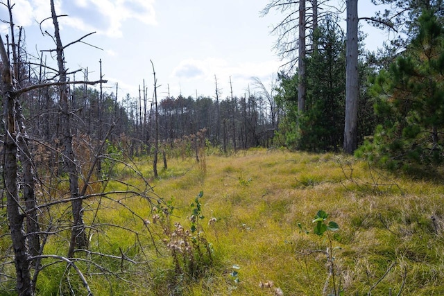 LOT11 W 16th Ct, Arkdale, WI 54613