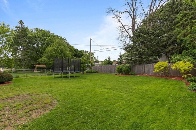 768 Reed St, Neenah, WI 54956 - view of yard featuring a trampoline