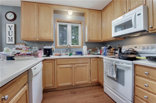 2531 Balsam Ct, Eau Claire, WI 54703 - kitchen featuring white appliances, a sink, light wood finished floors, and light brown cabinetry