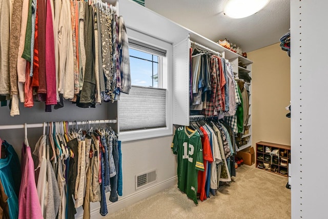 W229N3637 Sterling Ct, Pewaukee, WI 53072 - spacious closet with carpet