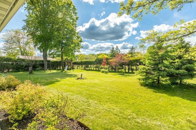 2931 N Ave, Wisconsin Rapids, WI 54495 - view of grassy yard