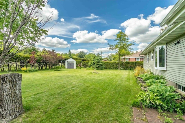 2931 N Ave, Wisconsin Rapids, WI 54495 - view of green lawn