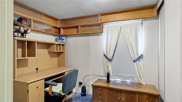 207 State Road 25, Wheeler, WI 54772 - home office featuring a textured ceiling and carpet