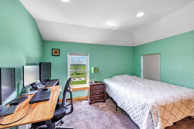 4600 Kamper Ln, Denmark, WI 54208 - bedroom featuring lofted ceiling, carpet floors, a desk, and baseboards