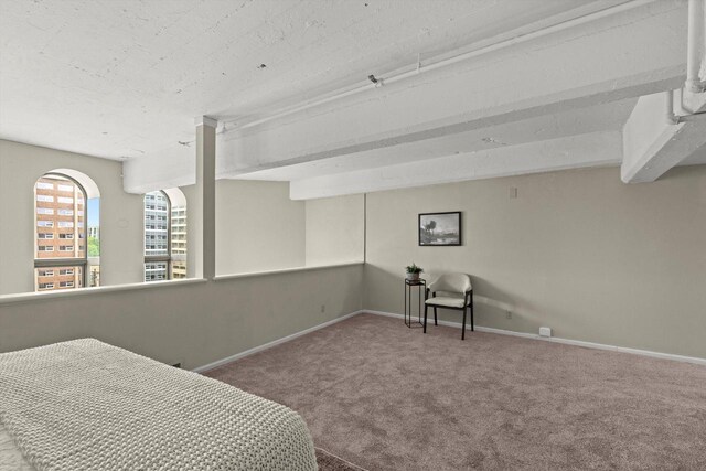 270 E Highland Ave Unit 1031, Milwaukee, WI 53202 - bedroom featuring carpet flooring and baseboards