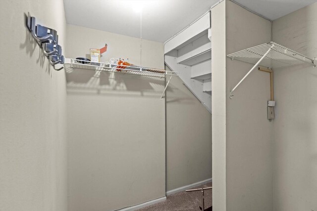 270 E Highland Ave Unit 1031, Milwaukee, WI 53202 - spacious closet with carpet flooring